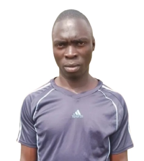 Maxwell Ashikovi Icon