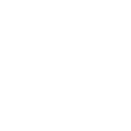 BFC Preussen Logo