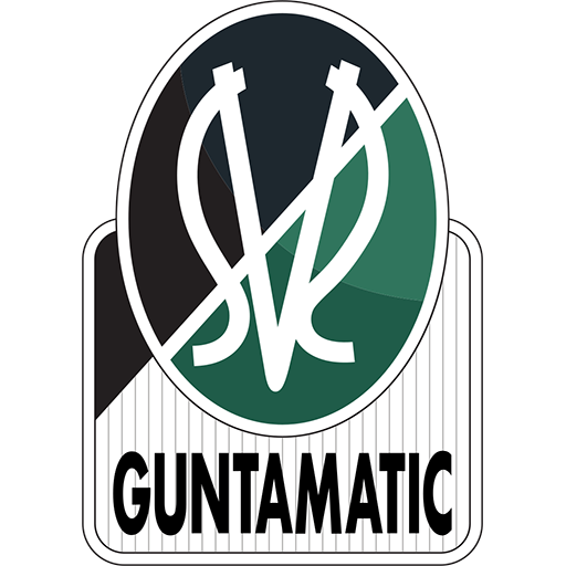 Junge Wikinger Ried Logo