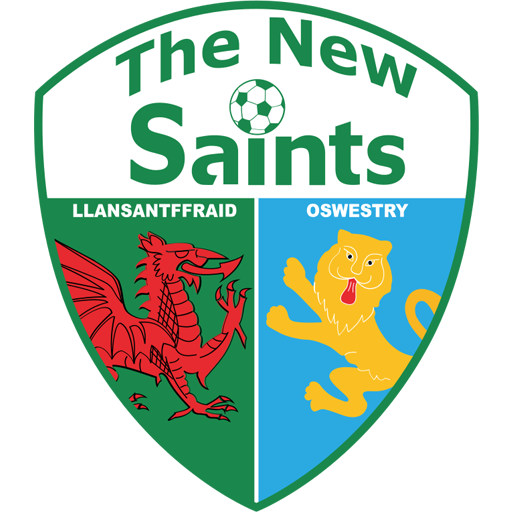 The New Saints Logo