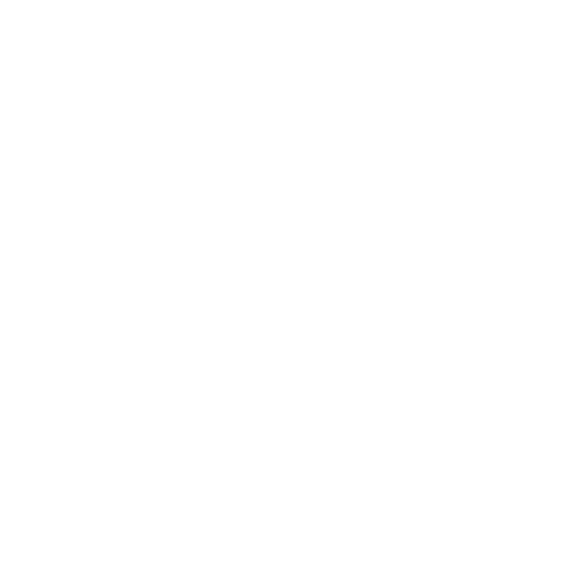 Dinamo-2 Tbilisi Logo