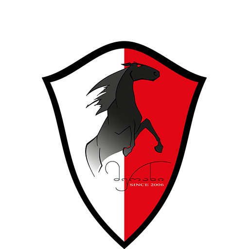Merani Martvili Logo