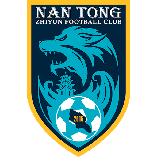 Nantong Zhiyun Logo